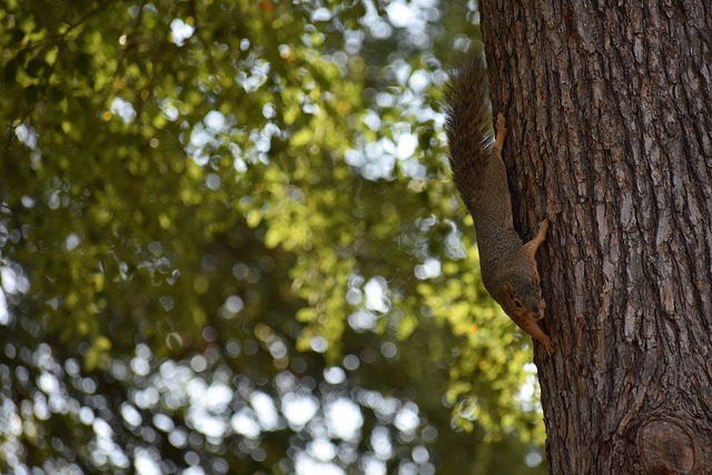 醫學和數據 醫學和數據
