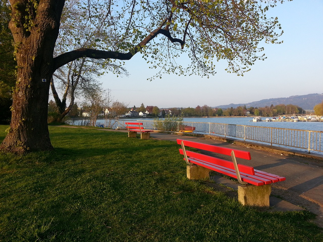 将上演更多 将上演更多