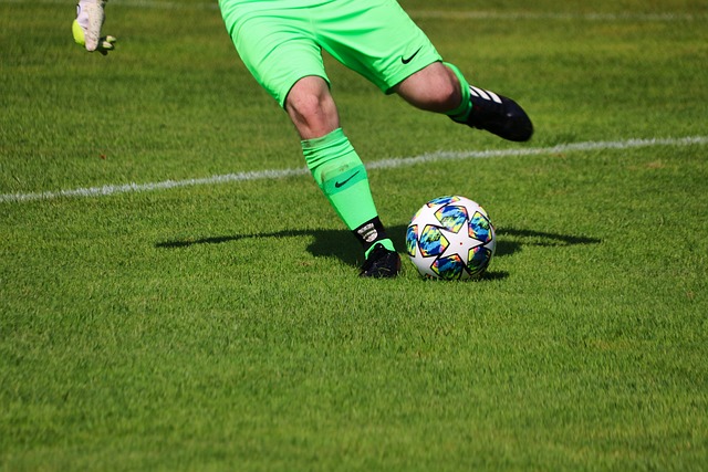 的耀眼新星 的耀眼新星