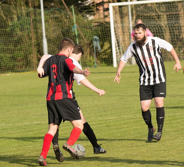 最终成功挺 最终成功挺