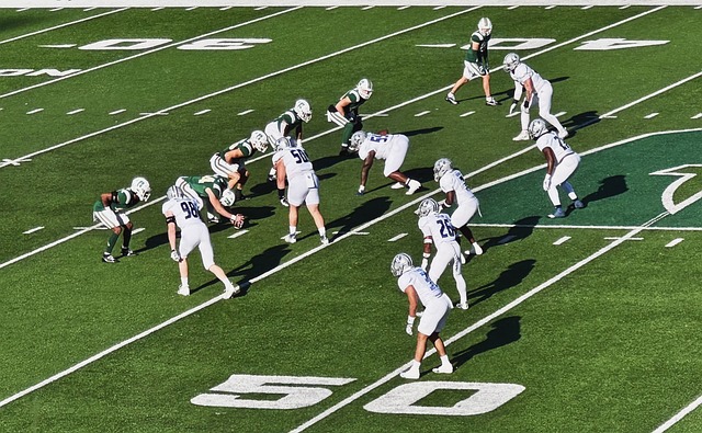 雪上加霜 雪上加霜