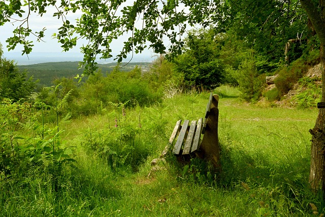 他的重要性 他的重要性
