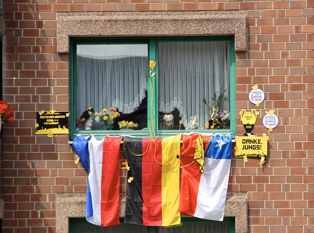 运动方面的 运动方面的