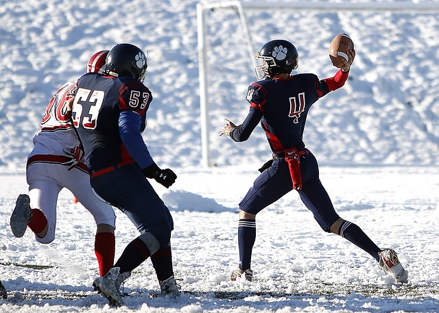 不仅提升了 不仅提升了