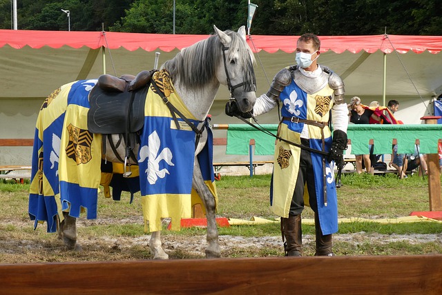 这决定了荷 这决定了荷